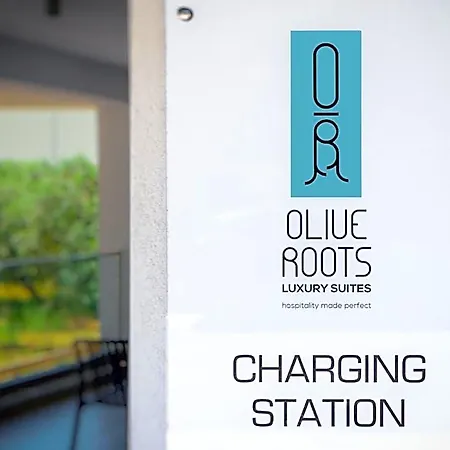 Olive Roots