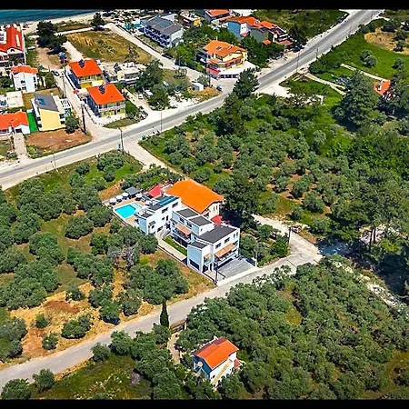 Olive Roots Limenas (Thasos)