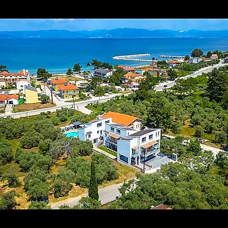 Olive Roots * Limenas (Thasos)